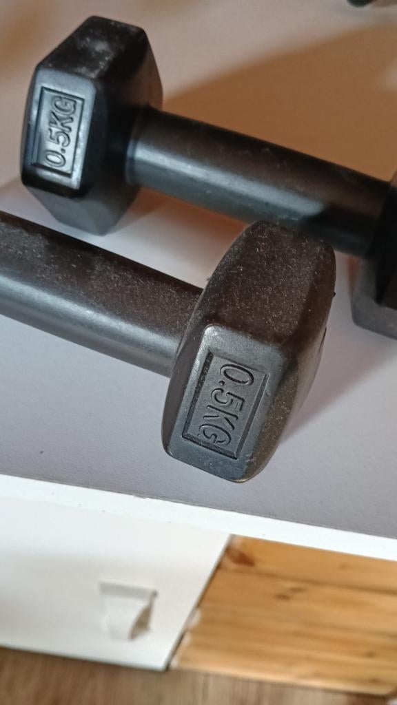 Set van 2 dumbells van 0,5 kg, Ophalen, Zo goed als nieuw, Armen, Dumbbell