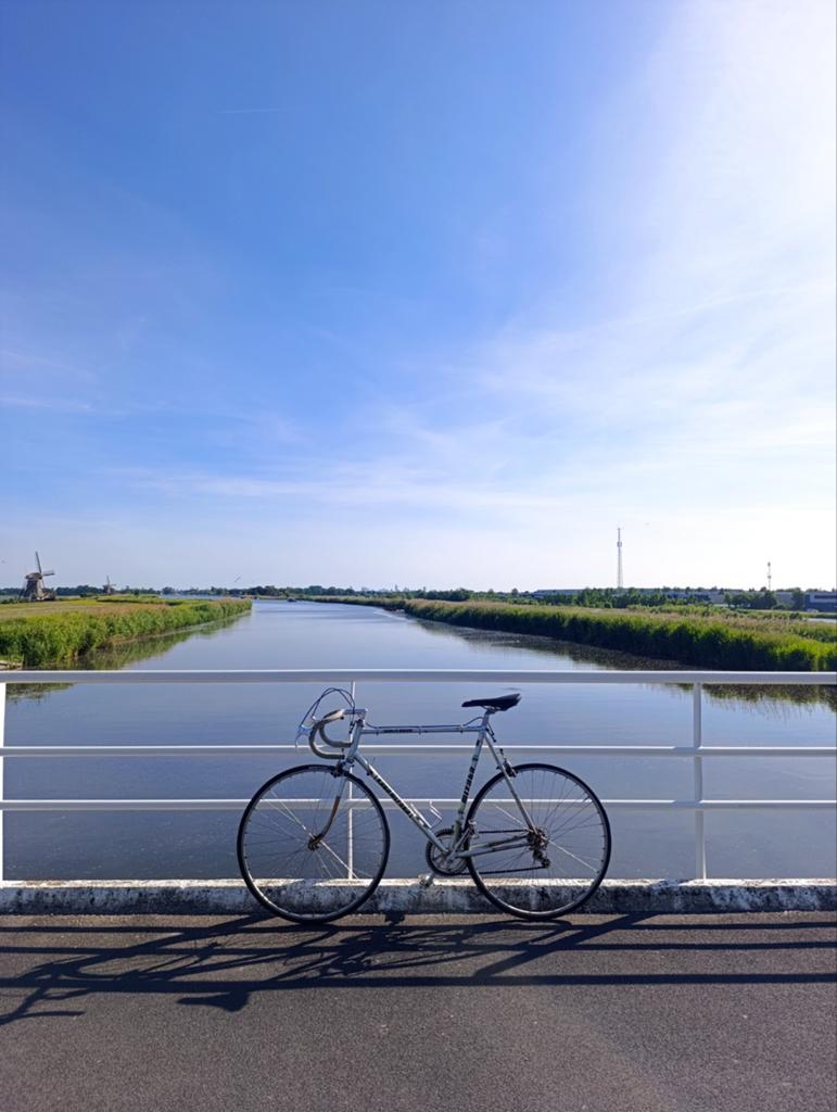 Koga Miyata racefiets 56 cm - Rijdt, remt, schakelt goed, 53 tot 57 cm, Ophalen of Verzenden, Gebruikt, Koga Miyata
