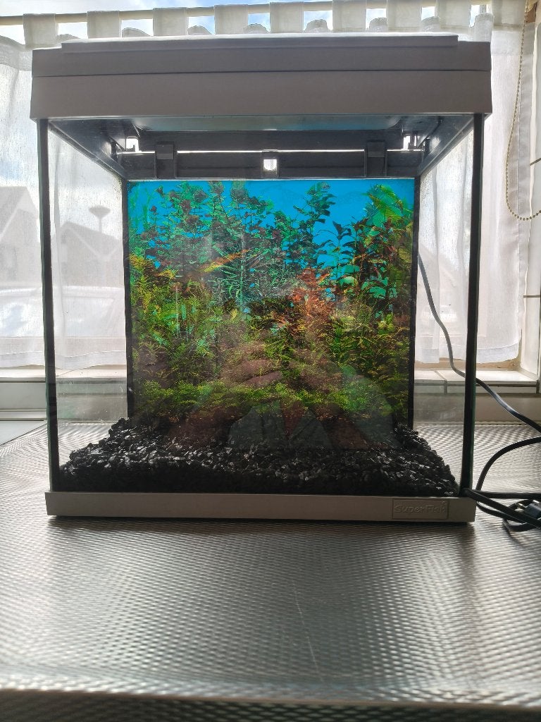Aquarium, Ophalen, Gebruikt