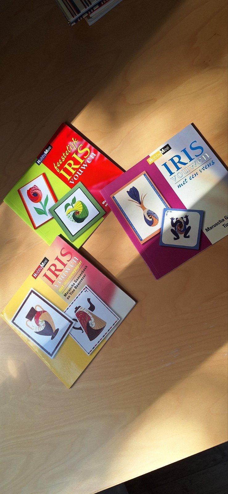 HobbyMee Iris vouwboeken - Feestelijk met een  wens,irisvouw, Hobby en Vrije tijd, Ophalen of Verzenden