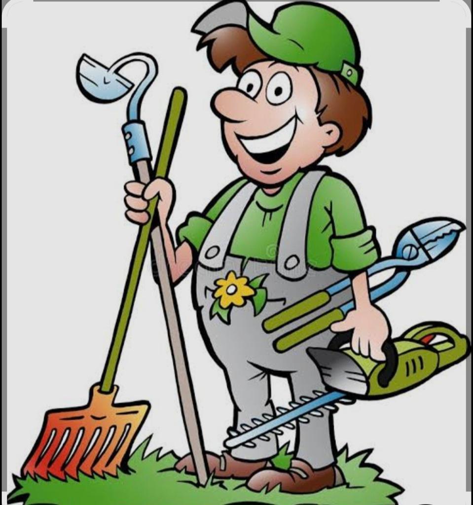 Tuin onderhoud, Vacatures, Overige niveaus, Starter, Overige vormen