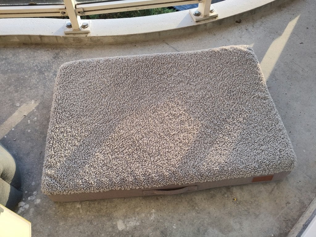 Big dog bed, Ophalen, Gebruikt, Overige