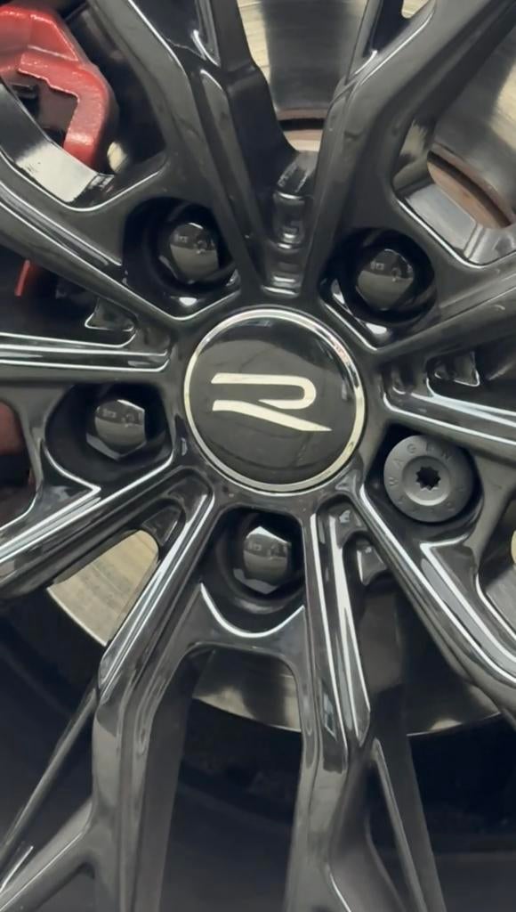Wielmoer dopjes 19mm, 20 stuks (Hoogglans zwart), Auto diversen, Ophalen of Verzenden