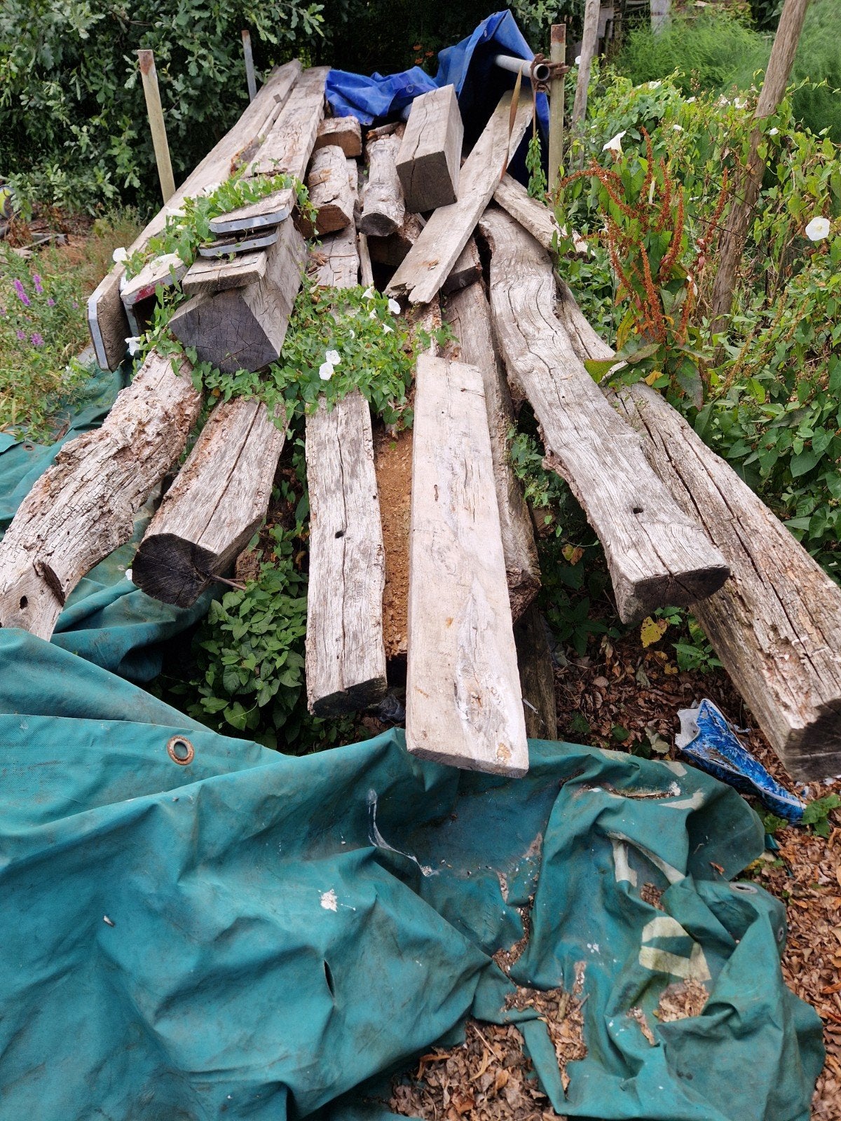 Oude eiken balken uit oude boerderij., Doe-het-zelf en Verbouw, Ophalen, Gebruikt, Eiken, 200 tot 250 cm