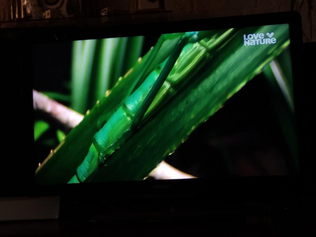 Philips tv, Ophalen, Zo goed als nieuw, Tv, Overige typen