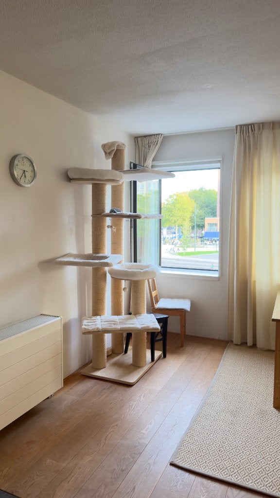 Grote kattenboom / krabpaal met meerdere ligplekken, Dieren en Toebehoren, Ophalen of Verzenden, Zo goed als nieuw, Overig speelgoed