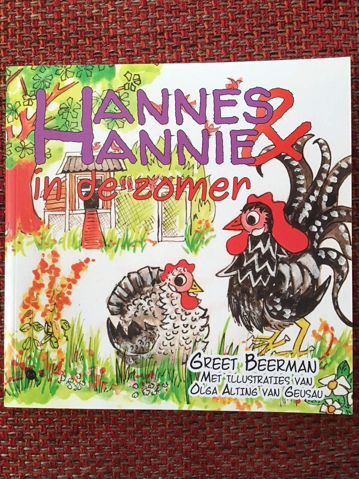 Hannes en Hannie in de zomer - Prentenboek, Verzenden, Nieuw, 2 tot 3 jaar