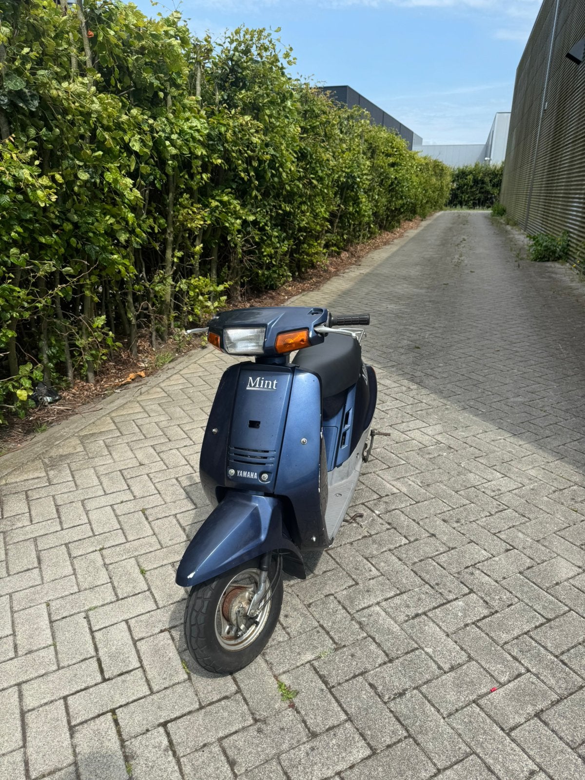Yamaha mint, Ophalen, Zo goed als nieuw, Benzine, Yamaha