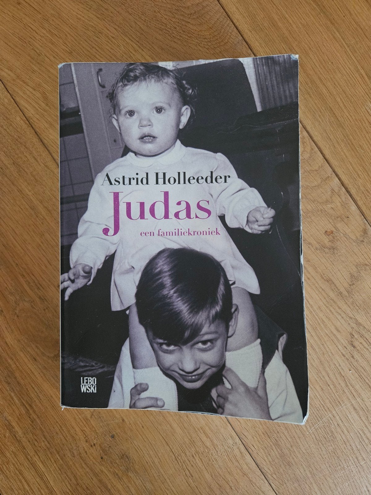 Astrid Holleeder - Judas: Een Familiekroniek, Ophalen of Verzenden, Gelezen, Astrid Holleeder, Overige