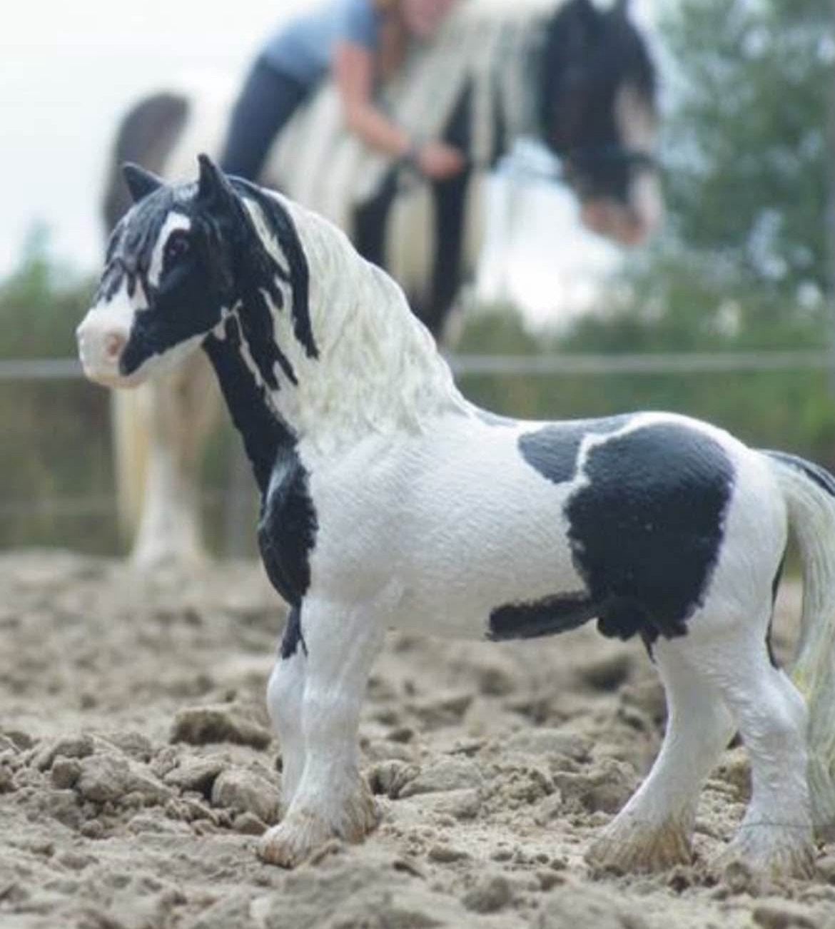 Jouw paard in het klein, Ophalen of Verzenden, Nieuw, Paard, Beeldje of Figuurtje