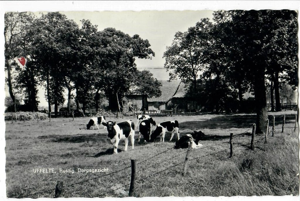 Uffelte - Rustig Dorpsgezicht, Verzenden, 1960 tot 1980, Gelopen, Drenthe