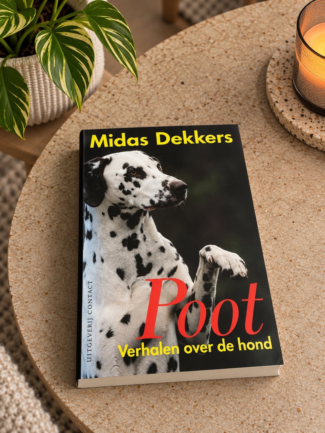 Poot - Midas Dekkers, Ophalen of Verzenden, Gelezen