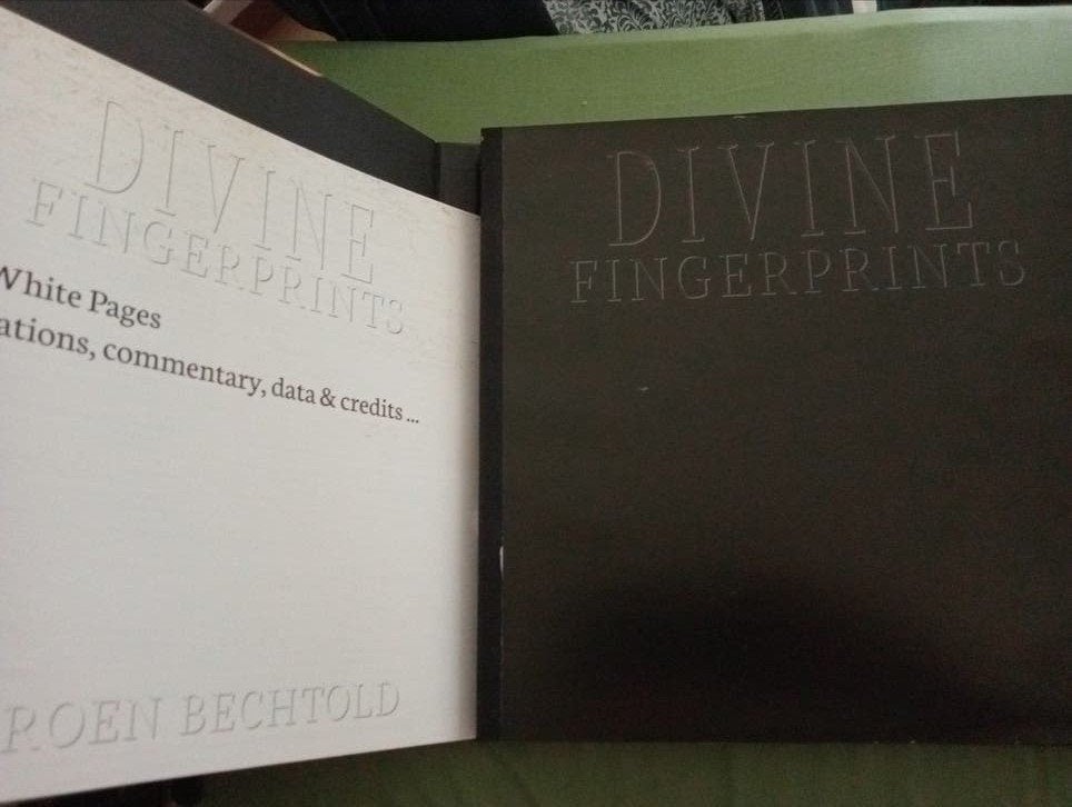 Divine Fingerprints - Jeroen Bechtold (Kunstboek), Ophalen of Verzenden, Gelezen, Overige onderwerpen, Jeroen Bechtold