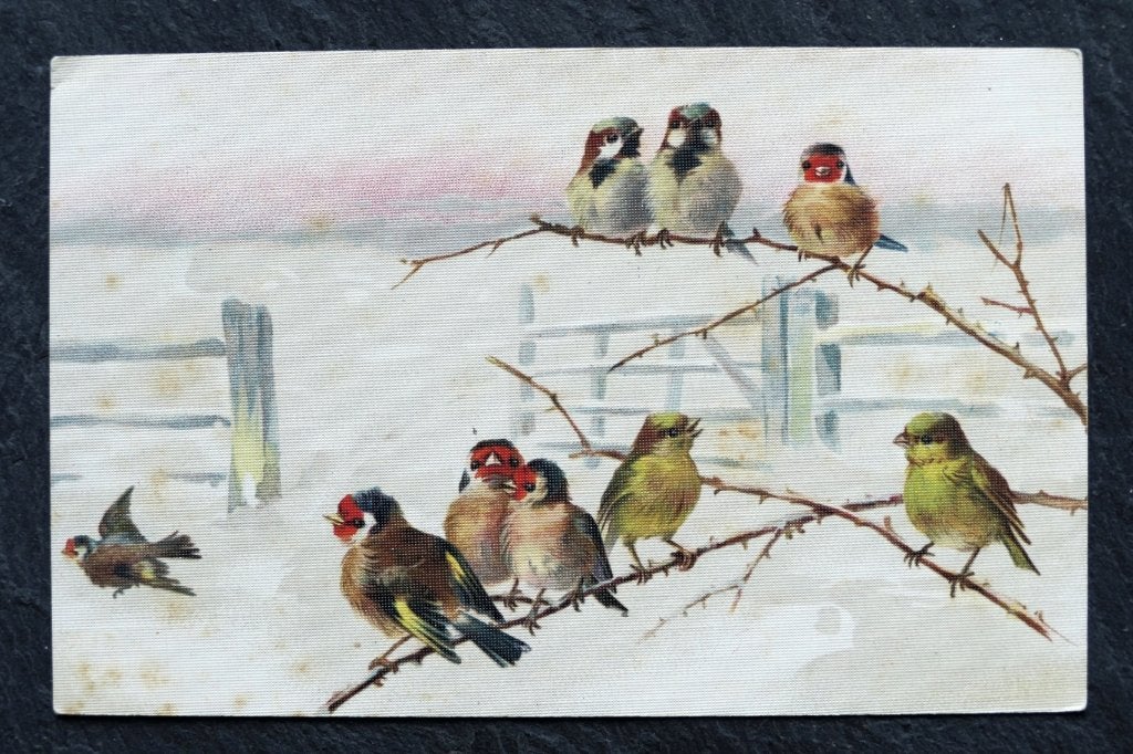 Putters, groenling en huismussen in wintertafereel, Verzenden, Voor 1920, Ongelopen, Vogel