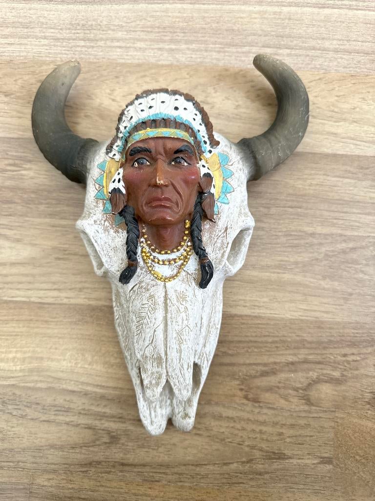 Decoratieve Bizon Schedel met Indiaans Hoofd, Ophalen
