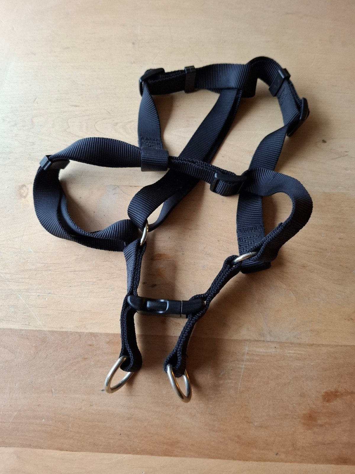 hondentuigje nieuw, Ophalen of Verzenden, Nieuw