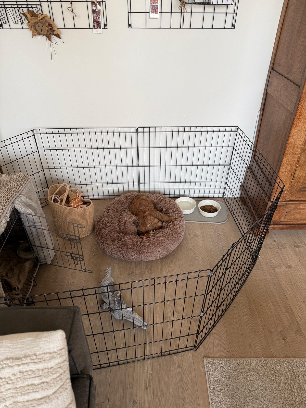 Puppy ren, 560cm doorsnede, 60cm hoog, Dieren en Toebehoren, Ophalen, Zo goed als nieuw