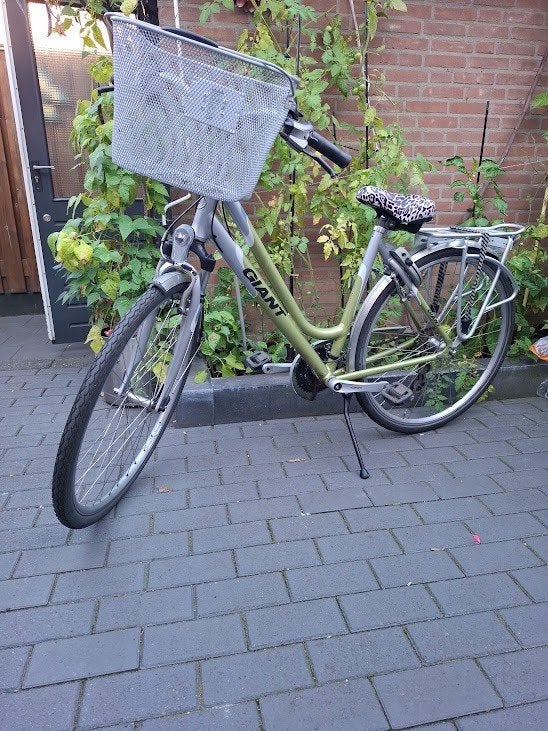 GIANT ESCAPER DX LDS MONOLOOP‍️ 🙋‍♀️ DAMESFIETS‍️, Ophalen, Velgrem, (Extra) lage instap, Giant