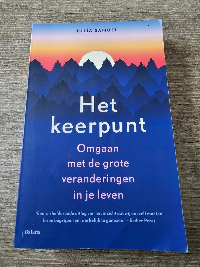 Het keerpunt - Omgaan met grote veranderingen, Ophalen of Verzenden, Gelezen