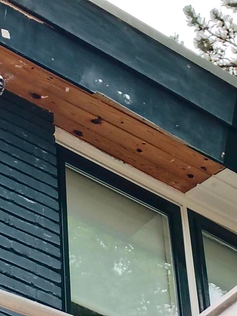 Foto 23 van STUCADOOR  SCHILDER  NODIG €15 M2