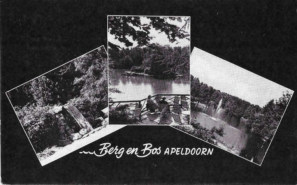 AK Apeldoorn - Berg en Bos, Verzenden, 1940 tot 1960, Gelderland