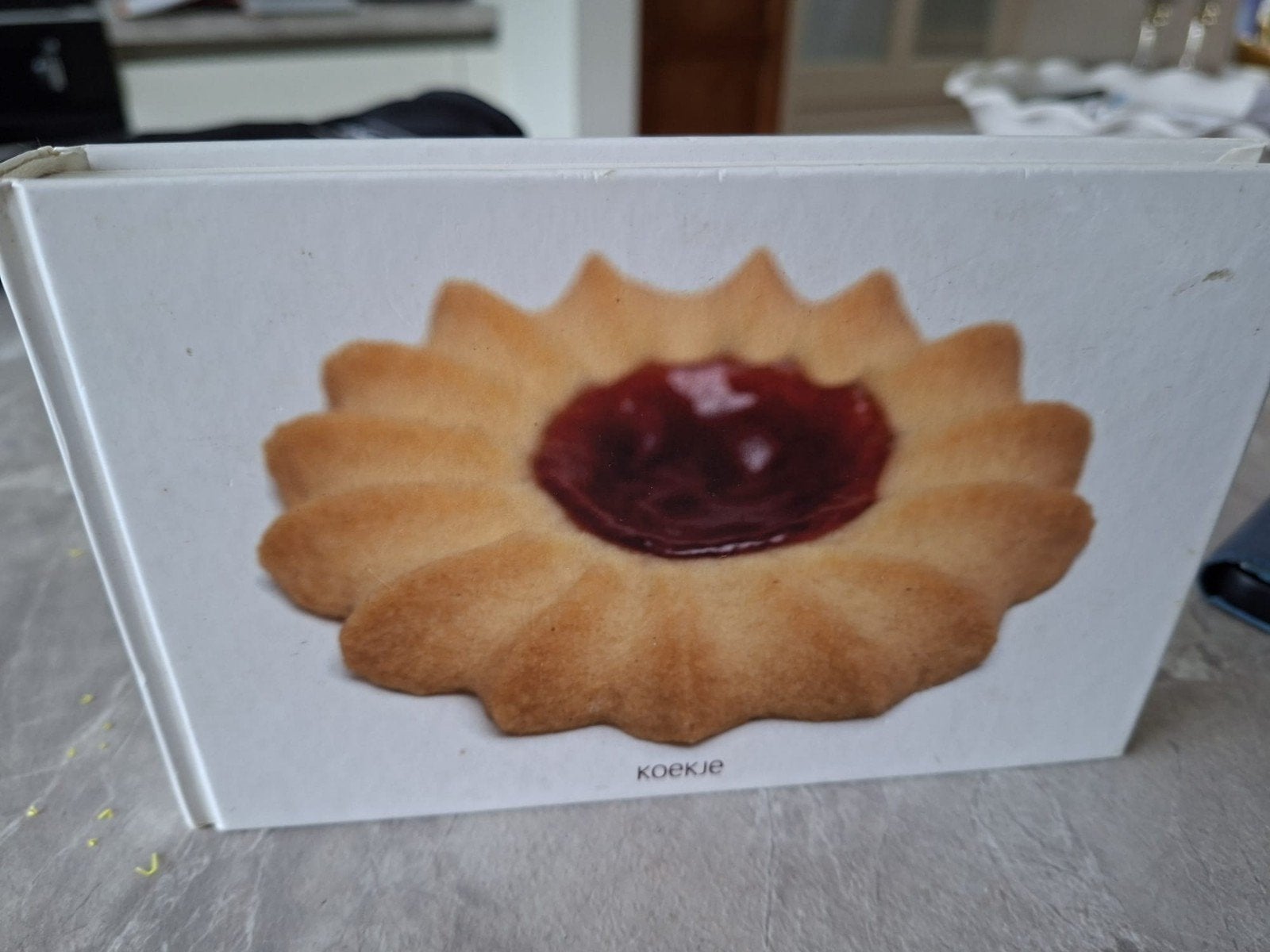 Bakboek koekje kees holtkamp, Ophalen of Verzenden, Rechthoekig
