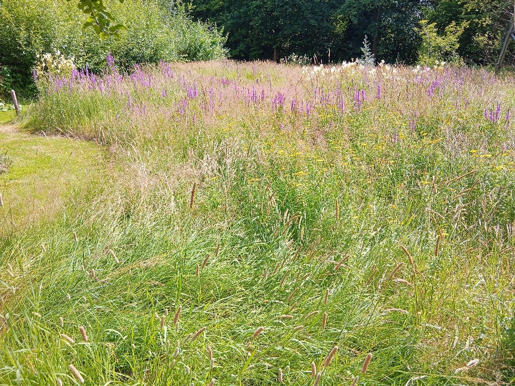 Maaien eco grasland, bloemrijke bermen. Huur me in., Agria, Gebruikt, Ophalen of Verzenden, Balkmaaier