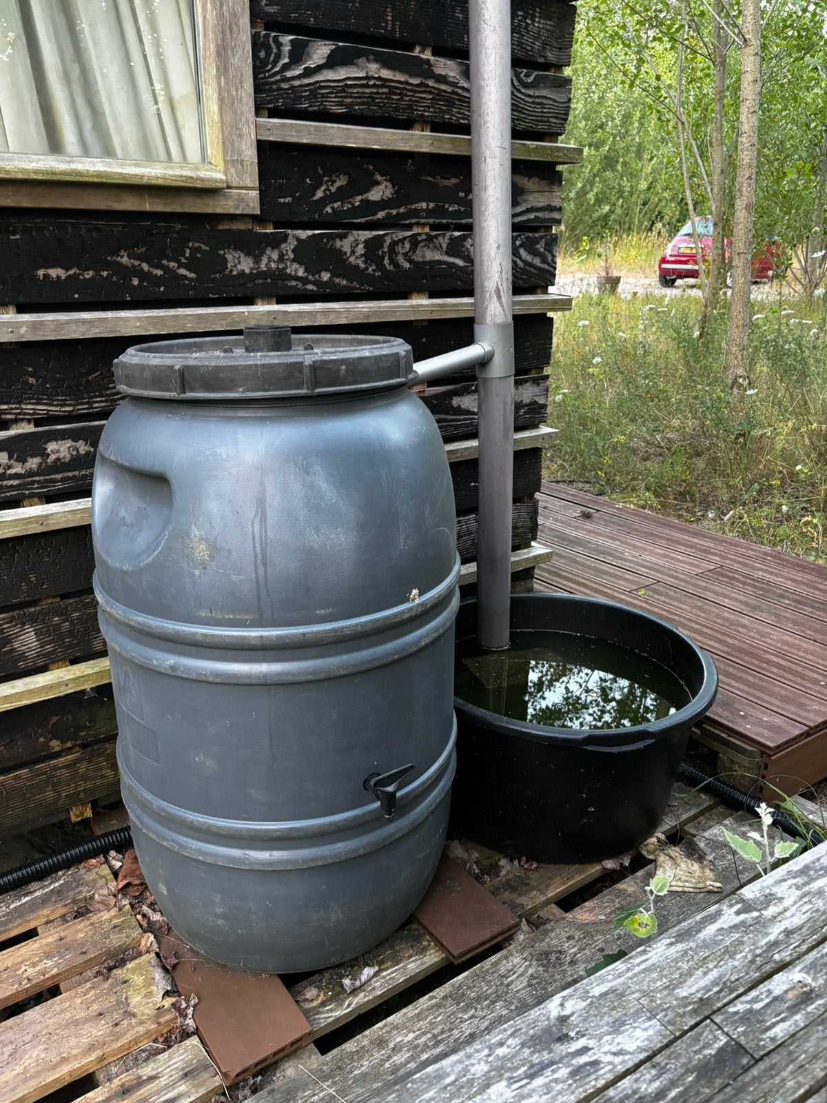 Regenton en cementbak, 150 liter of meer, Ophalen, Zo goed als nieuw