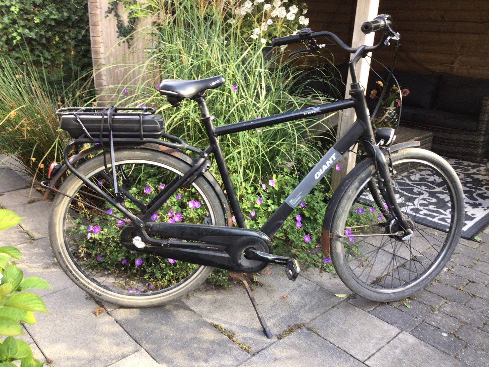 Te koop gebruikte ebike Giant TripleX met defect, Ophalen, Gebruikt, Minder dan 30 km per accu, Giant