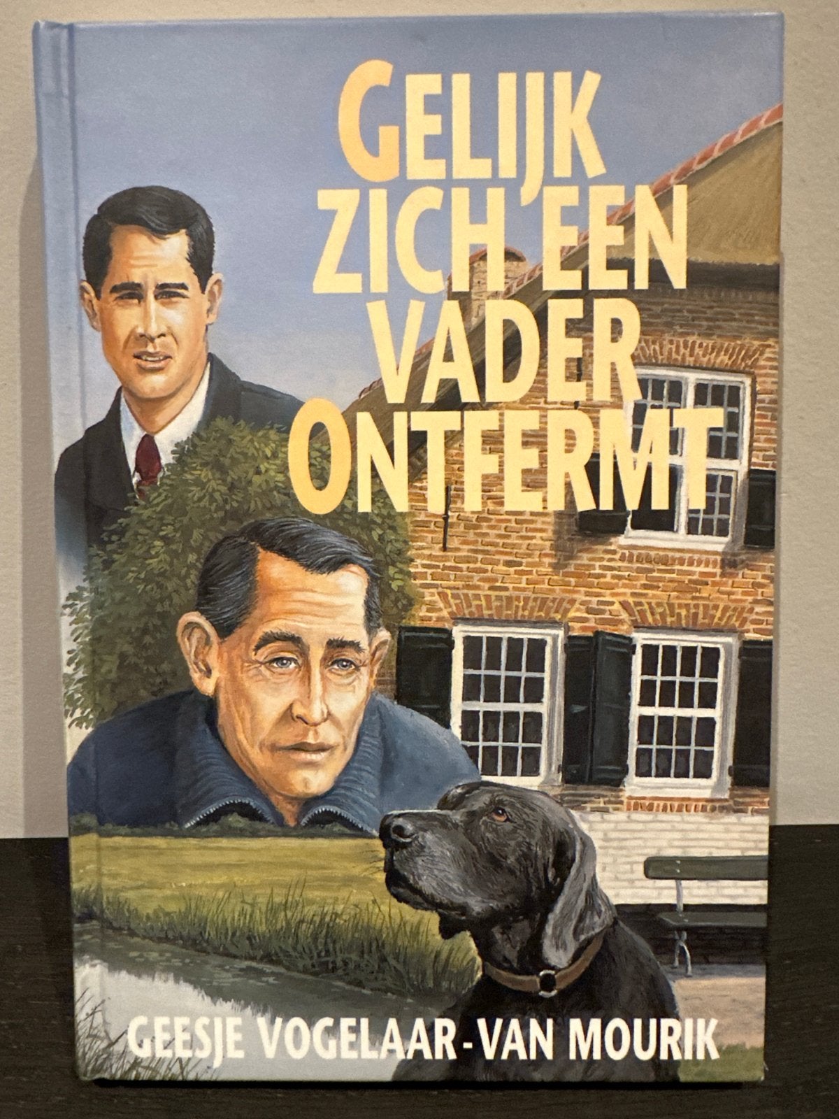 Gelijk zich een vader ontfermt - Geesje Vogelaar-van Mourik, Boeken, Ophalen of Verzenden, Zo goed als nieuw, Nederland