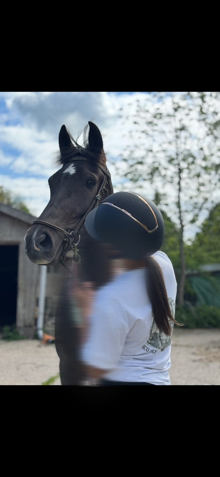 Verzorger aangeboden!, Dieren en Toebehoren, Paarden en Pony's | Overige Paardenspullen, Ophalen of Verzenden, Springen