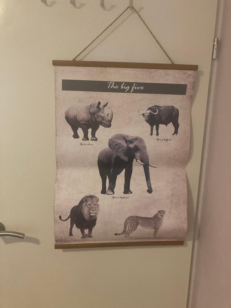 Poster the big five, Ophalen, Zo goed als nieuw