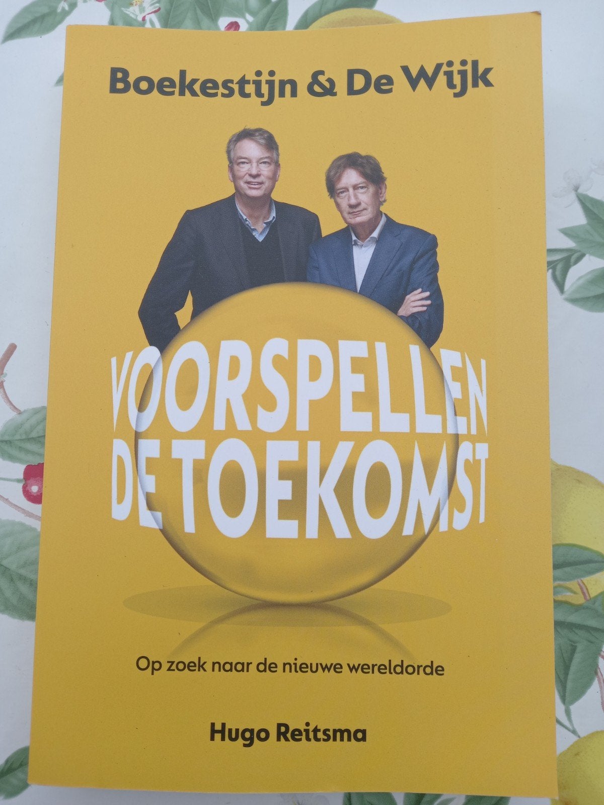 Hugo Reitsma Boekestijn & De Wijk voorspellen de toekomst m3, Hugo Reitsma, Ophalen of Verzenden, Zo goed als nieuw, Wereld