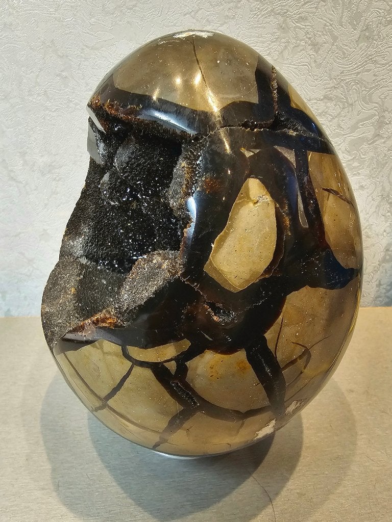 Groot septarie drakenei met kristalgeode – 3,925 kg, Ophalen, Fossiel