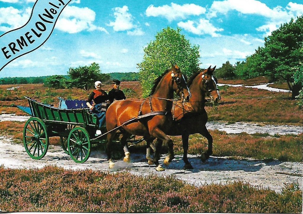 Ermelo- -Tweespan op de heide., Verzenden, 1980 tot heden, Ongelopen, Gelderland
