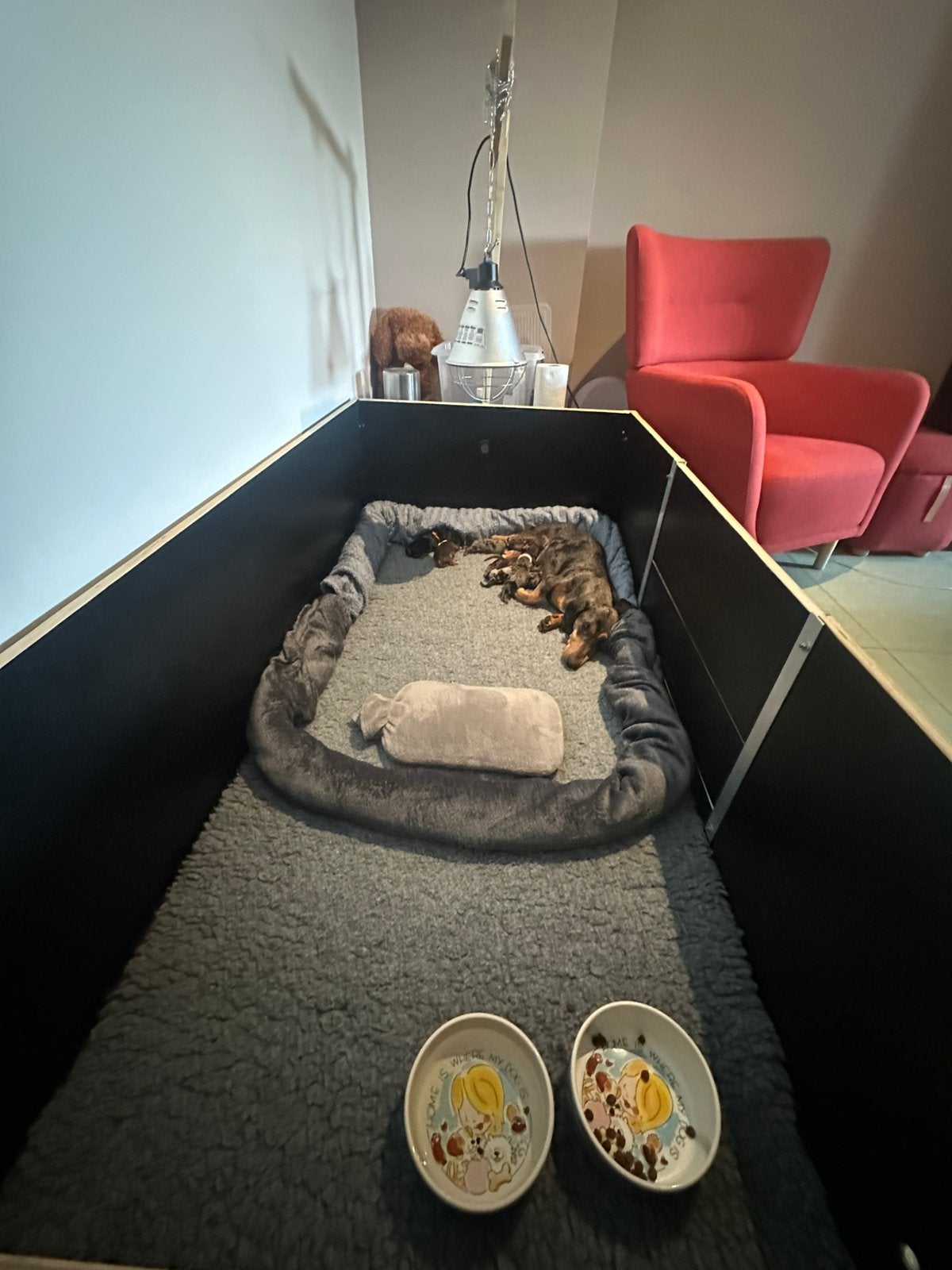 Werpkist 170cm bij 90cm te koop, Dieren en Toebehoren, Ophalen, Gebruikt, Werpkist