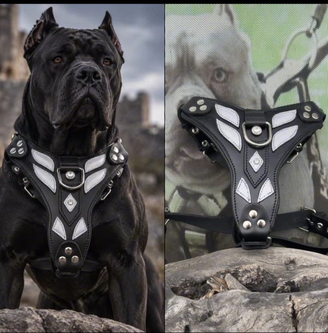 honden tuig, Dieren en Toebehoren, Ophalen of Verzenden, Nieuw, Halsband