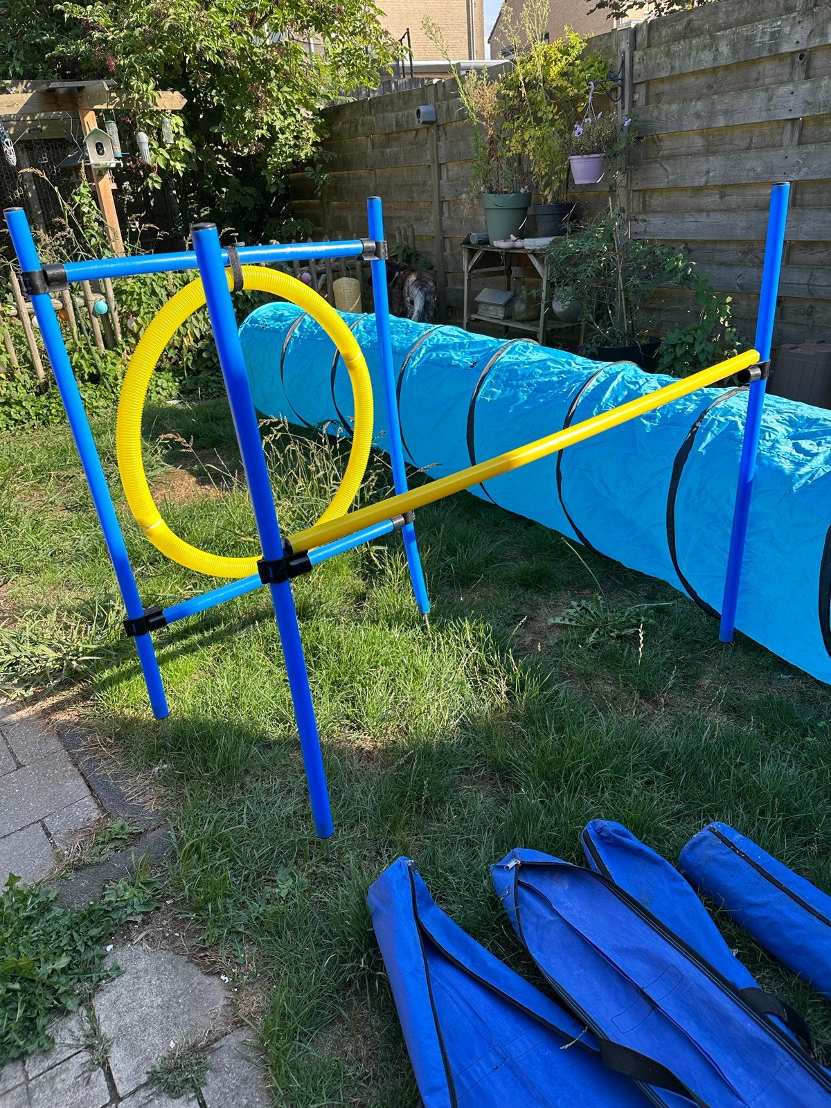 Agility training set voor honden, Dieren en Toebehoren, Ophalen