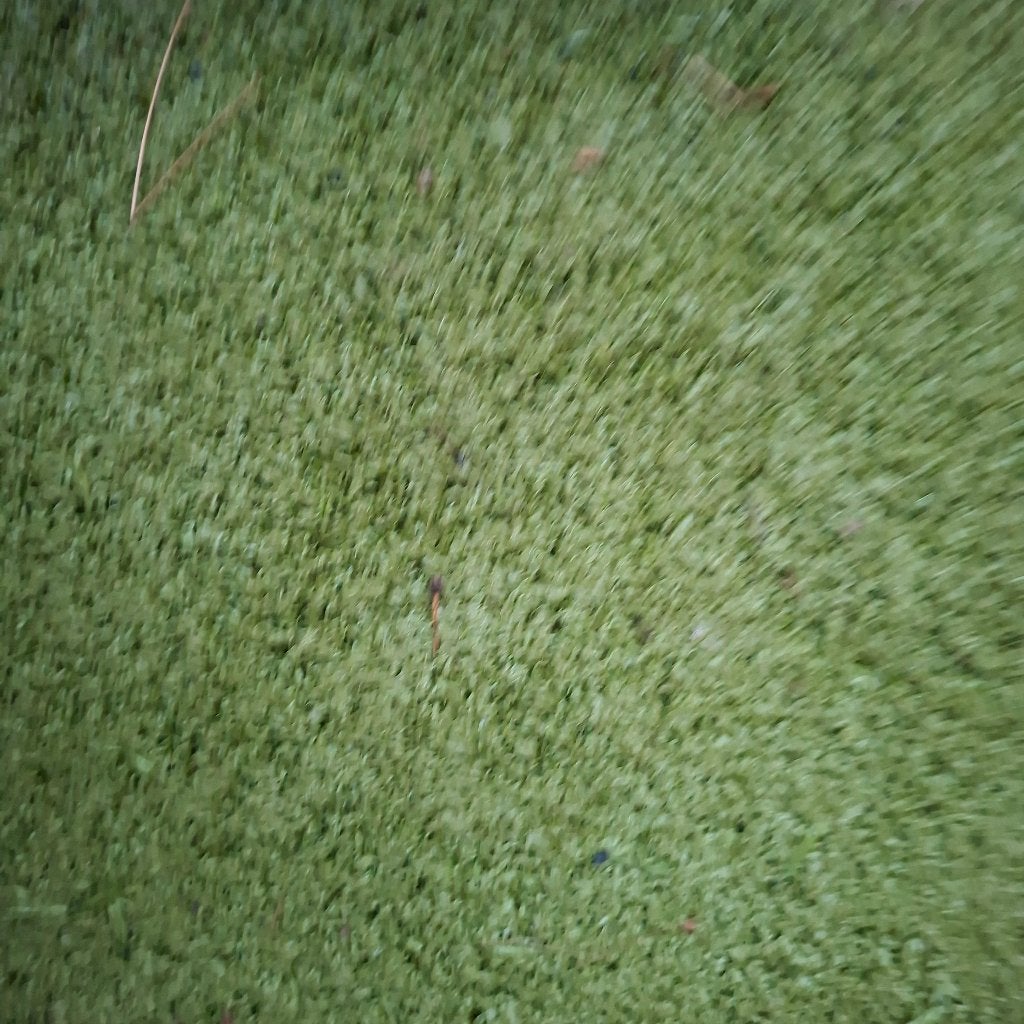 kunstgras, Ophalen, Gebruikt, 20 m² of meer, Kunstgras