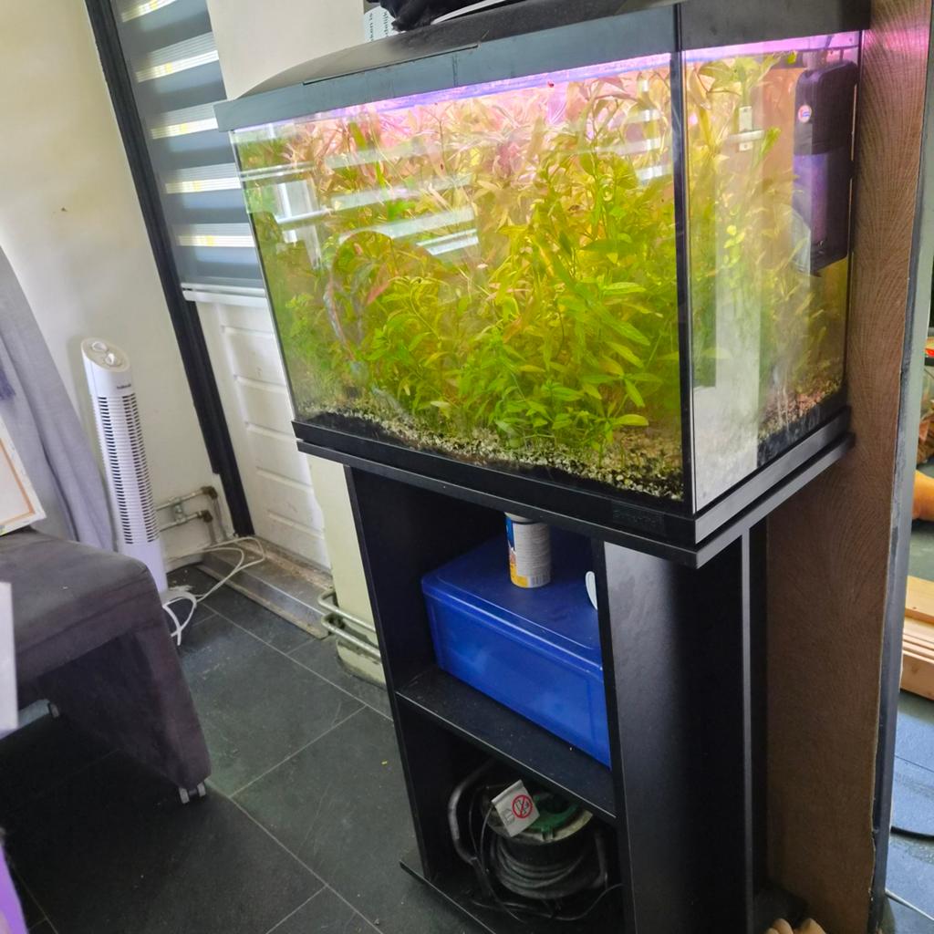 Aquarium, Ophalen of Verzenden, Zo goed als nieuw, Gevuld zoetwateraquarium