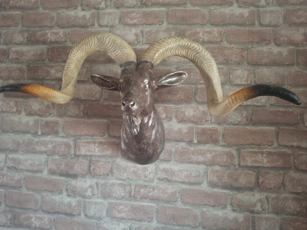 Steenbok, Ophalen of Verzenden