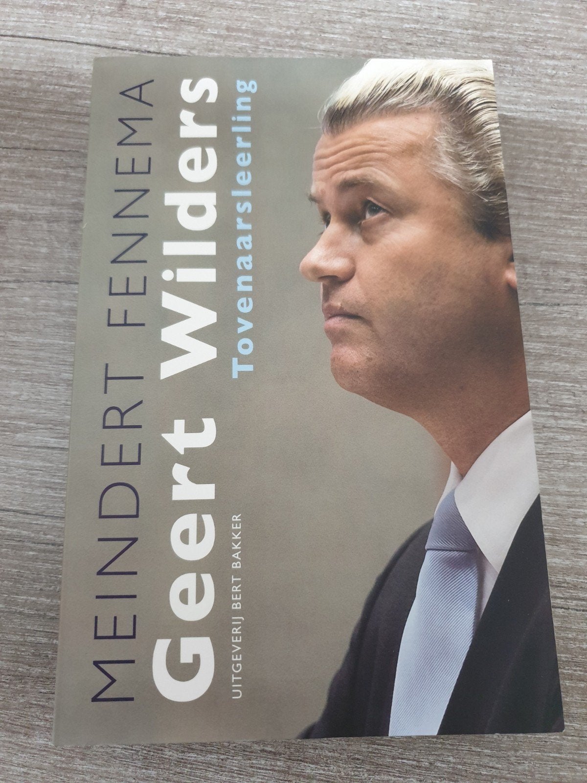 Geert Wilders: Tovenaarsleerling - Meindert Fennema, Ophalen of Verzenden, Gelezen, Meindert Fennema