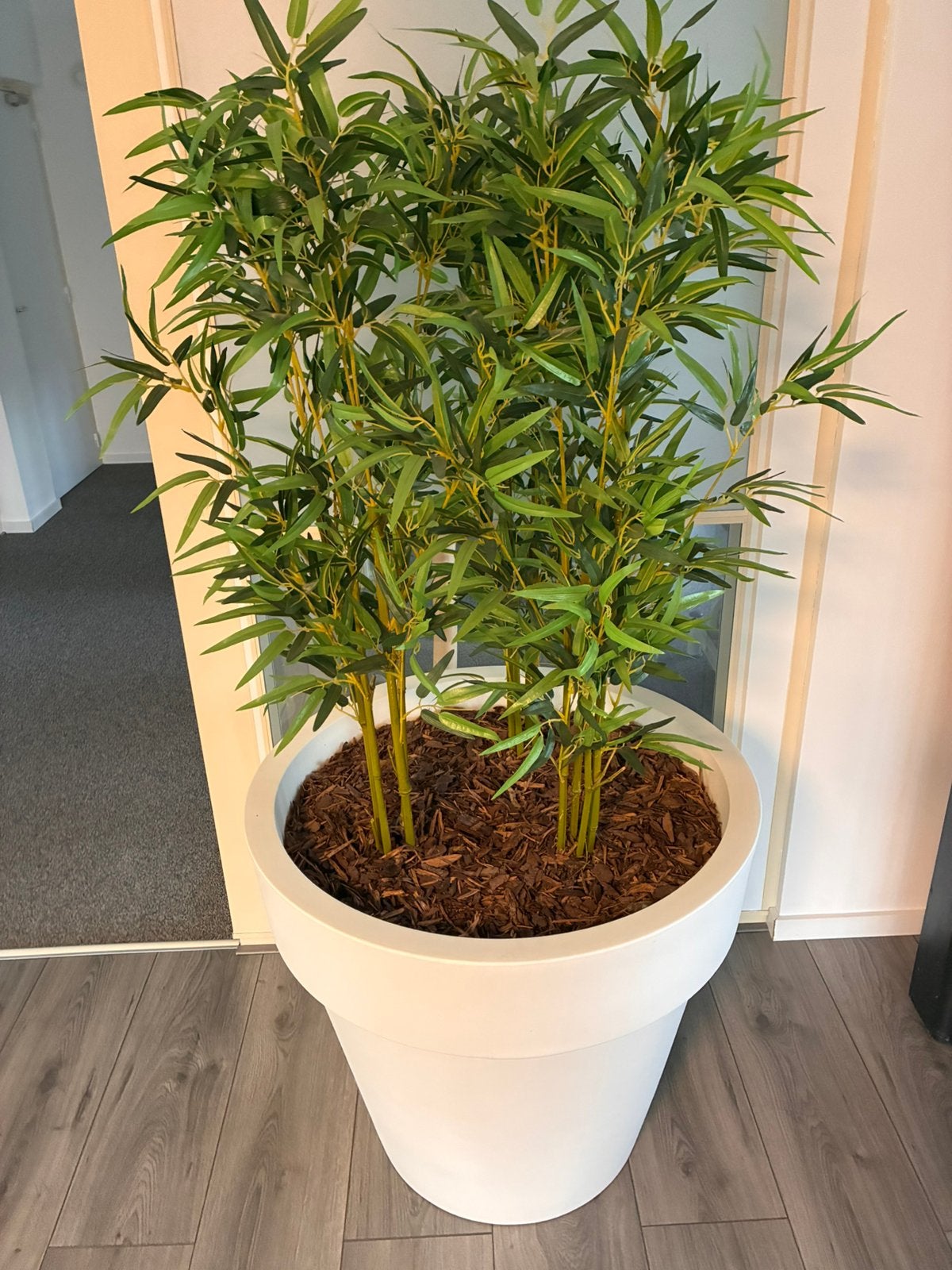Witte kunststof plantenbak met 3 x bamboe, Ophalen, Groen, Kunstplant, Zo goed als nieuw
