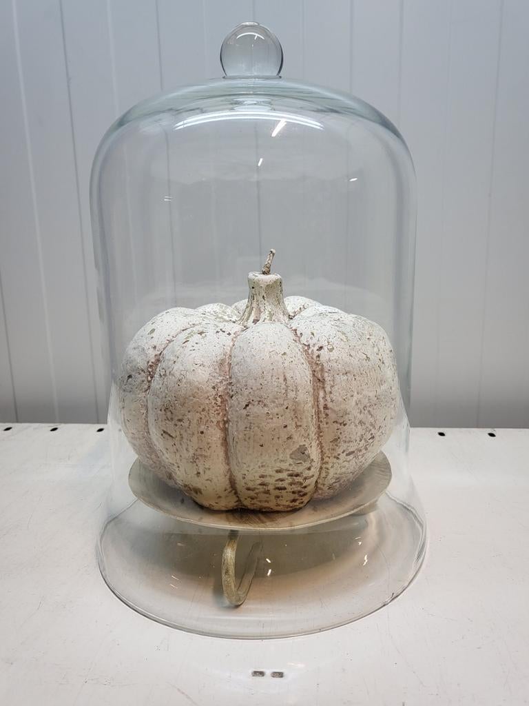 Glazen stolp met decoratieve pompoen, Ophalen, Zo goed als nieuw