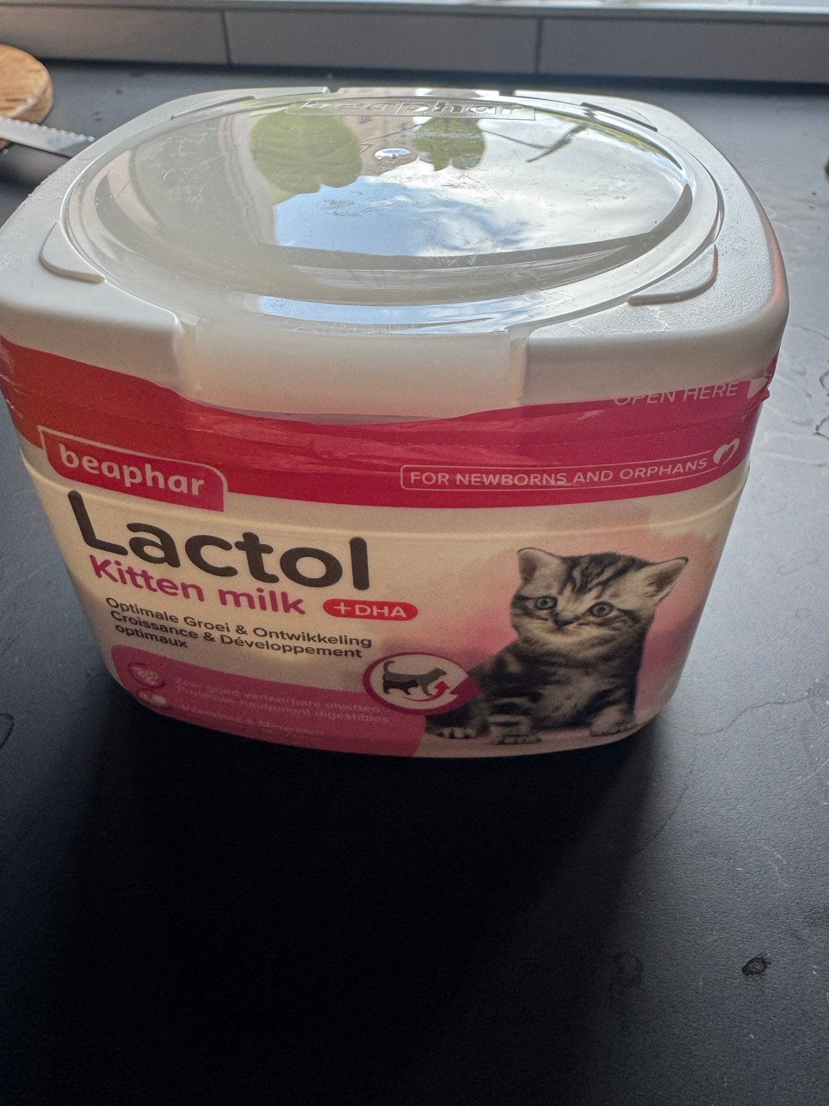 Lactol kittenmelk, Ophalen of Verzenden, Kat