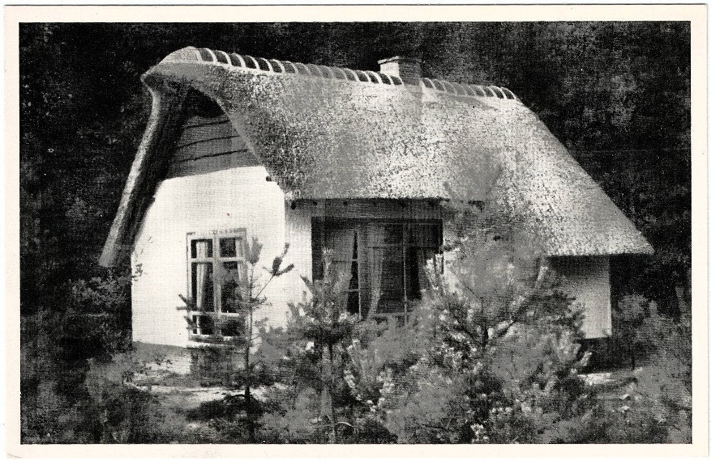 Oosterhout nb, huisje katjeskelder gelopen, richtprijs 3,==, Verzenden, 1940 tot 1960, Gelopen, Noord-Brabant