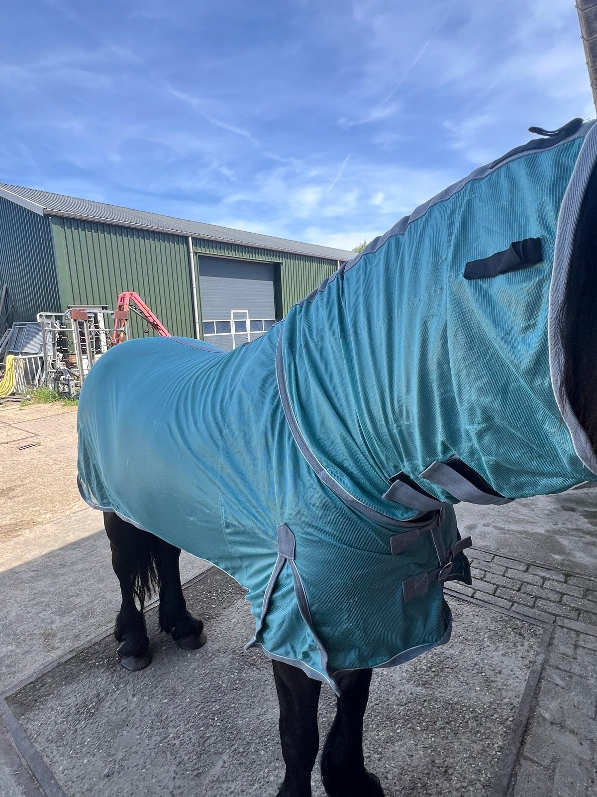 QHP vliegendeken met vaste hals en buikflap En masker 185cm, Dieren en Toebehoren, Paarden en Pony's | Overige Paardenspullen