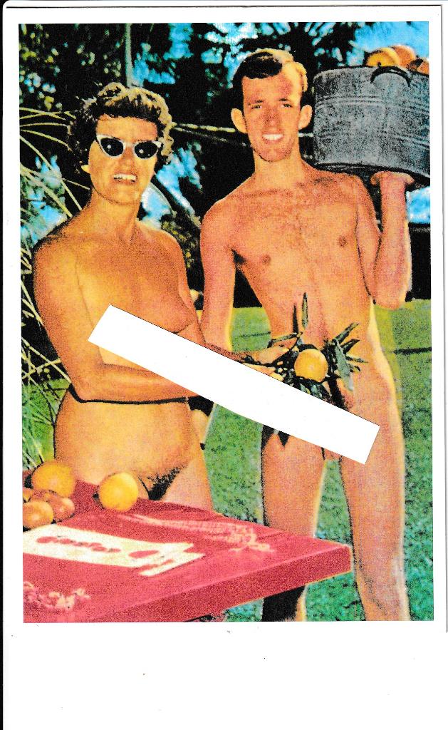No blame no shame - Naturisten family, Ophalen, 1980 tot heden, Ongelopen, Overige thema's