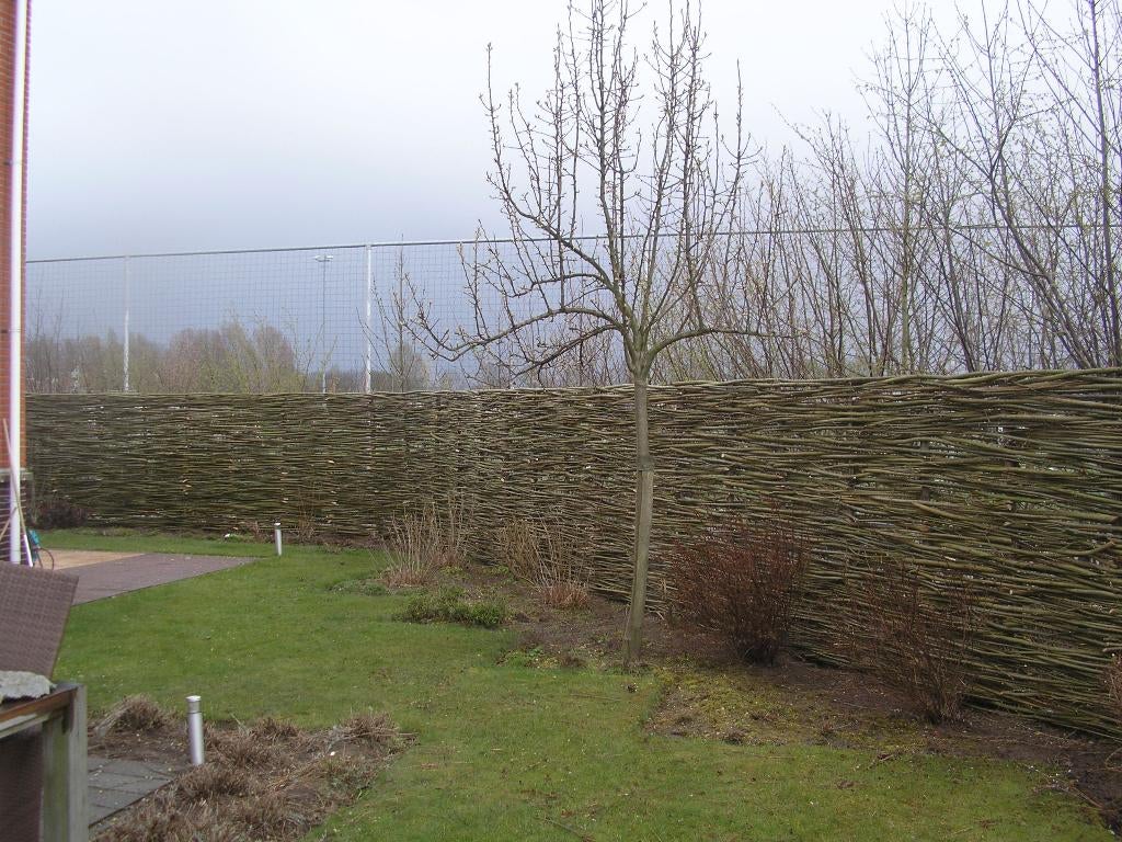 Wilgentenenschutting wilgentenen vlechthout bossen wilgen, Info@wilgentenenschutting.nl, Nieuw, Ophalen of Verzenden, 200 cm of meer