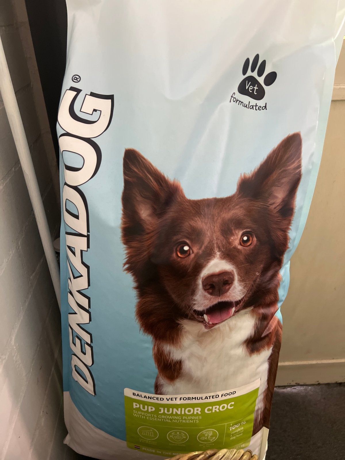 Puppy brokken Denkadog, Dieren en Toebehoren, Dierenvoeding, Ophalen, Hond